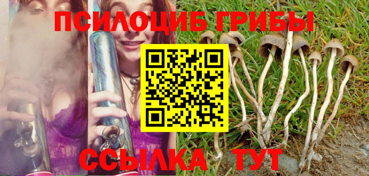 купить   Псилоцибиновые грибы GOLDEN TEACHER  Вход с VPN  Ефремов 